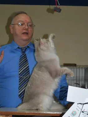 A man in glasses and a tie holding onto a cat