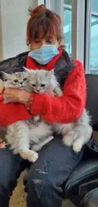 A person holding two cats in their arms.