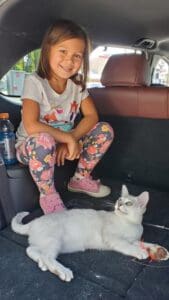 A girl sitting in the back of a car with her cat.
