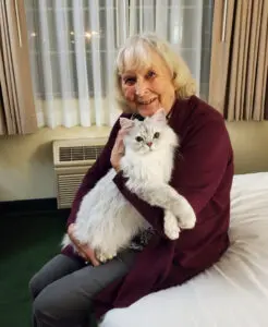 A woman holding a white cat on top of a bed.