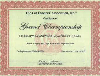 A certificate of grand championship for the cat fanciers association.