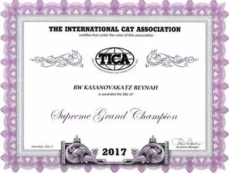 A certificate of excellence for the international cat association.