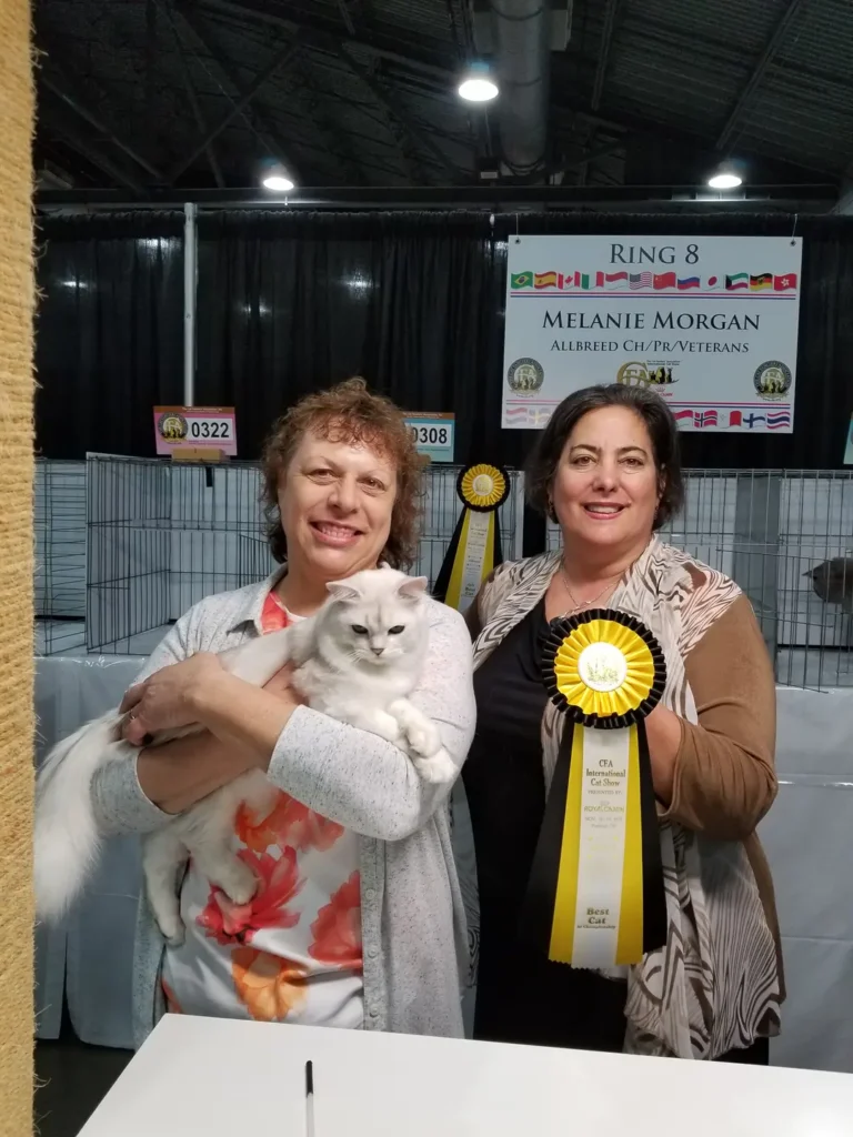 Two people holding a cat and one woman is holding a ribbon.