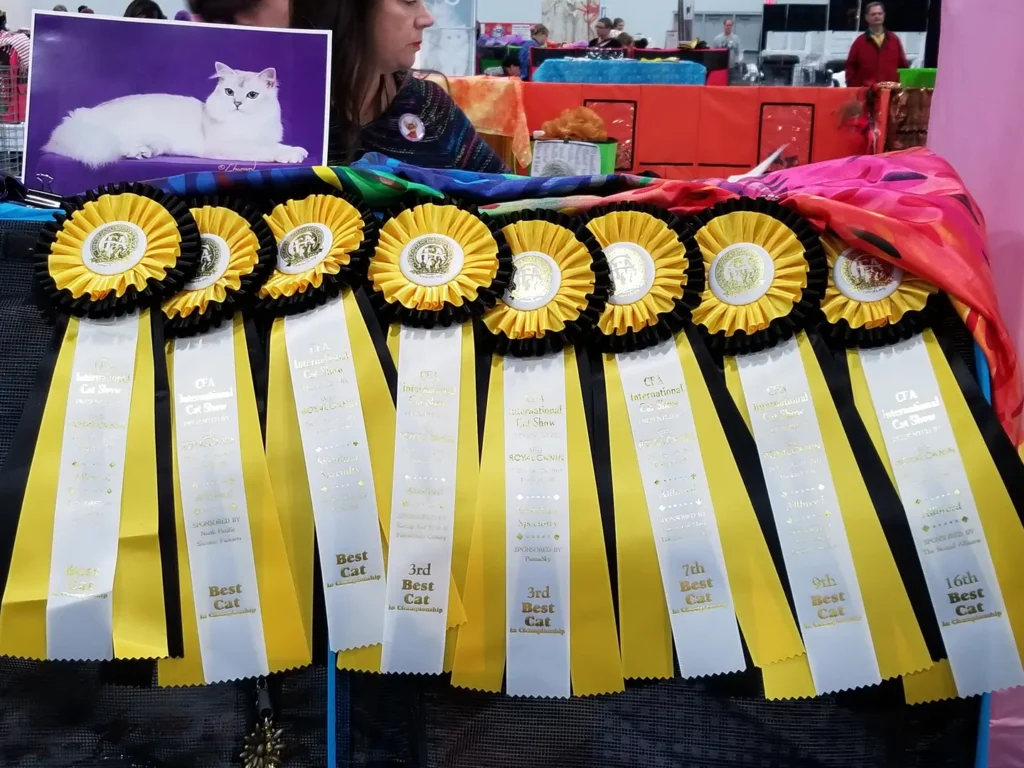 A row of yellow ribbons with white rosettes.