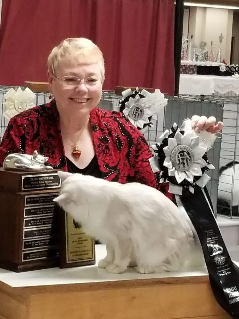 A woman sitting in front of some boxes and a cat.