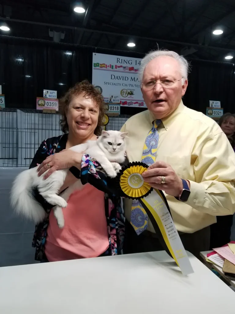 A man and woman holding a cat with ribbons around it.